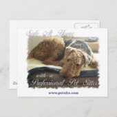 Veilig thuis met een Professional Pet Sitter Briefkaart (Voorkant / Achterkant)