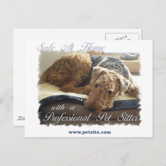 Veilig thuis met een Professional Pet Sitter Briefkaart (Voorkant / Achterkant)