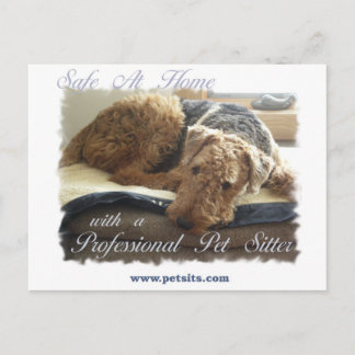 Veilig thuis met een Professional Pet Sitter Briefkaart