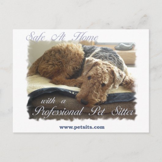 Veilig thuis met een Professional Pet Sitter Briefkaart (Voorkant)