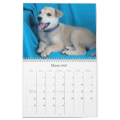Veilige handen 2015 Agenda Kalender (Mar 2027)