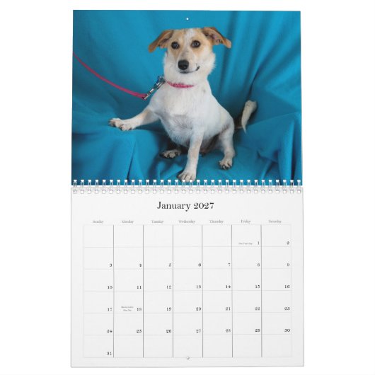 Veilige handen 2015 Agenda Kalender (Jan 2027)