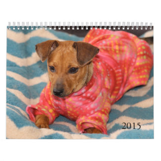 Veilige handen 2015 Agenda Kalender