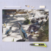 Veilige Haven: Fairy Penguin Paradise, Tissuepapier (Craft)