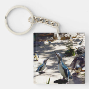 Veilige Haven: Fee Pinguïn Paradijs, Sleutelhanger