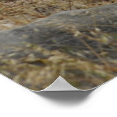 Veilige haven poster (Hoek)