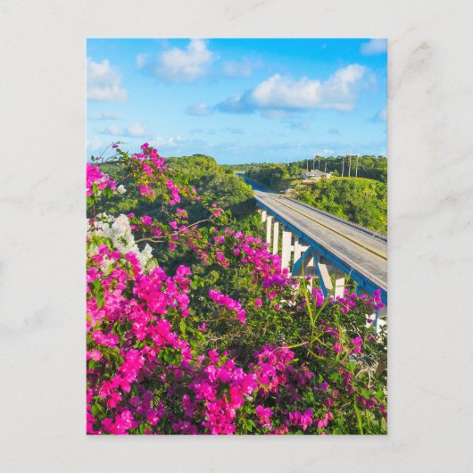 Veilige reizen in Matanzas, Cuba Briefkaart (Voorkant)