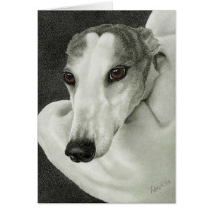 "Veiligheid" - Kaart van Greyhound