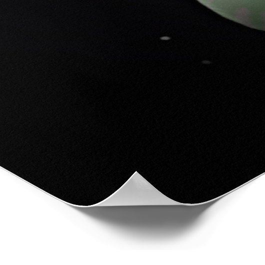 Veiligheid (Space Lily #9) Poster (Hoek)