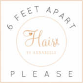 Veiligheids afstandsbord kapsalonnaam elegante vlo sticker (Voorkant)