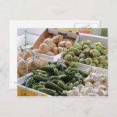 Veiligheidshavens Landbouwers Briefkaart (Voorkant / Achterkant)