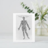 Veinen- en arteriestelsel (b/w-druk) briefkaart (Staand voorkant)