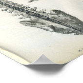 Veinen van de anatomiedruk van de wervelkolom poster (Hoek)