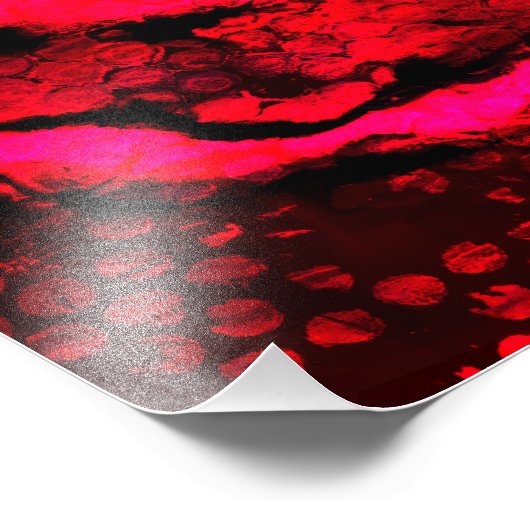 Veins of Hell Poster (Hoek)