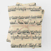  vel muziek (In situ)