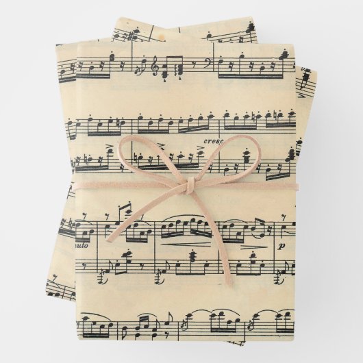  vel muziek (In situ)