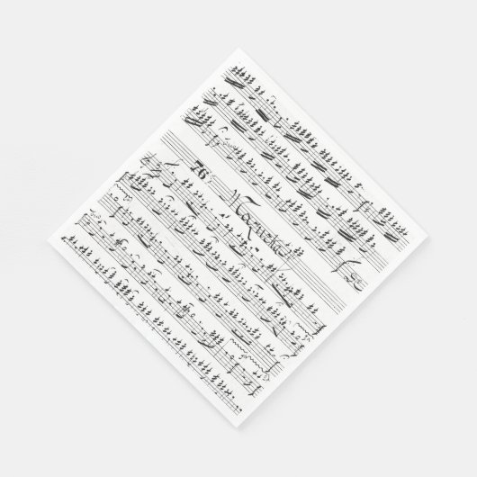  vel muziek servet (Hoek)