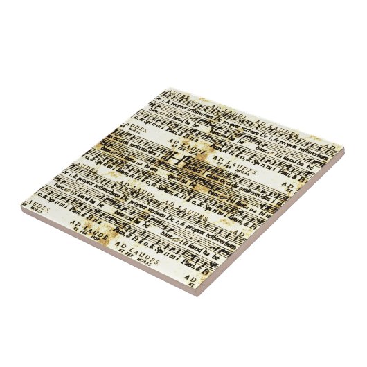  vel muziek tegeltje (Zijkant)