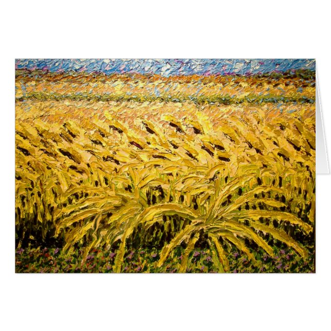 Veld 2005 (Voorkant Horizontaal)