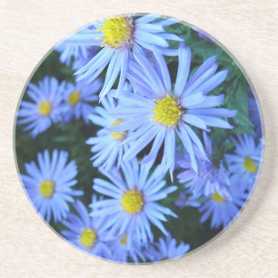 Veld blauwe bloemen zandsteen onderzetter