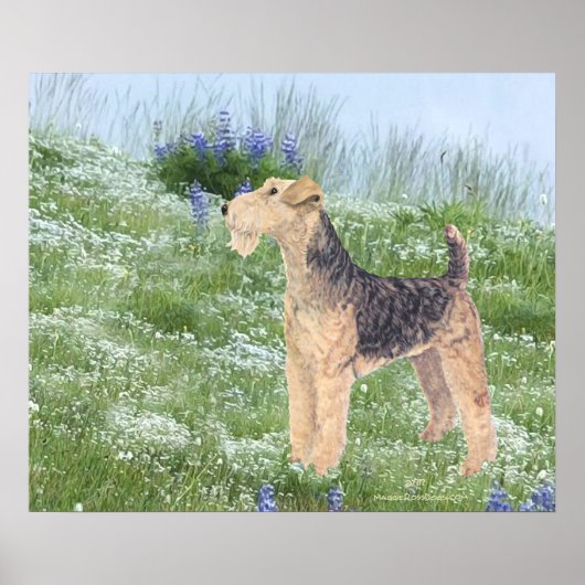Veld Bloemen Poster (Voorkant)
