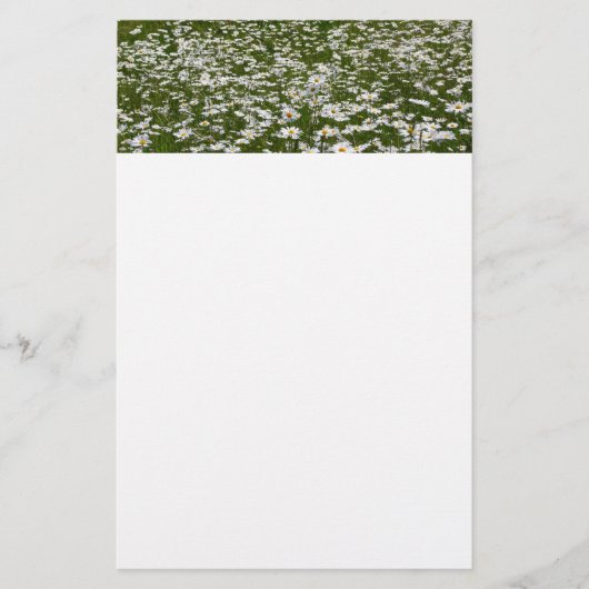 Veld Daisies Alaskan Wildflower Briefpapier (Voorkant)