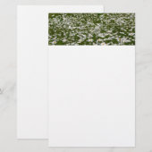 Veld Daisies Alaskan Wildflower Briefpapier (Voorkant / Achterkant)