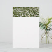 Veld Daisies Alaskan Wildflower Briefpapier (Staand voorkant)