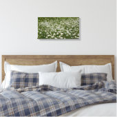 Veld Daisies Alaskan Wildflower Canvas Afdruk (Insitu (Slaapkamer))