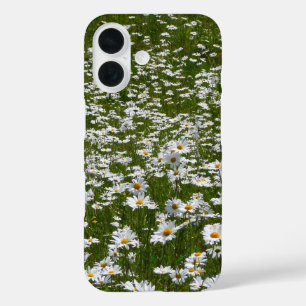 Veld Daisies Alaskan Wildflower iPhone 16 Hoesje