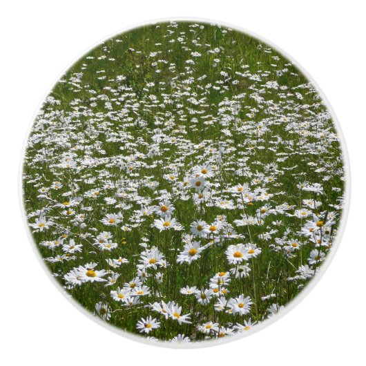 Veld Daisies Alaskan Wildflower Keramische Knop (Voorkant)
