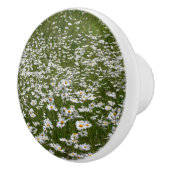 Veld Daisies Alaskan Wildflower Keramische Knop (Rechts)