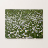 Veld Daisies Alaskan Wildflower Legpuzzel (Horizontaal)