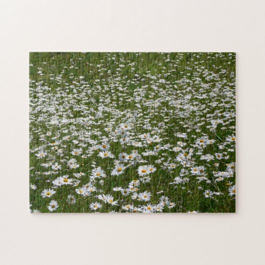 Veld Daisies Alaskan Wildflower Legpuzzel (Horizontaal)