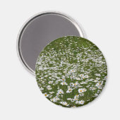 Veld Daisies Alaskan Wildflower Magneet (Voorkant / Achterkant)