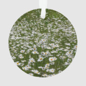 Veld Daisies Alaskan Wildflower Ornament (achterkant)
