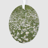 Veld Daisies Alaskan Wildflower Ornament (voorkant)