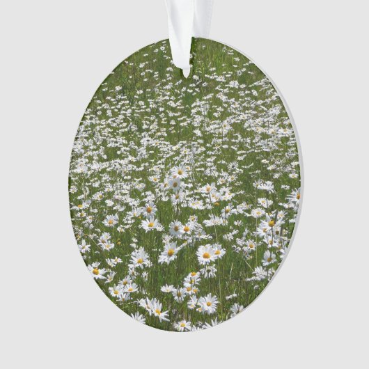 Veld Daisies Alaskan Wildflower Ornament (voorkant)