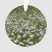 Veld Daisies Alaskan Wildflower Ornament (voorkant)