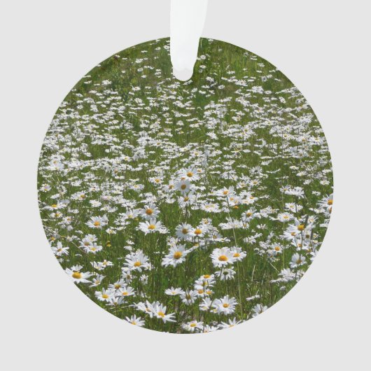 Veld Daisies Alaskan Wildflower Ornament (voorkant)