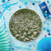 Veld Daisies Alaskan Wildflower Papieren Bordje (Feest)