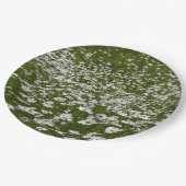 Veld Daisies Alaskan Wildflower Papieren Bordje (Gekanteld)