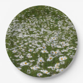 Veld Daisies Alaskan Wildflower Papieren Bordje (Voorkant)