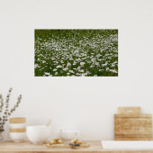 Veld Daisies Alaskan Wildflower Poster (Keuken)