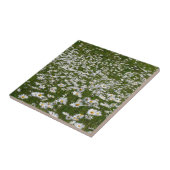 Veld Daisies Alaskan Wildflower Tegeltje (Zijkant)