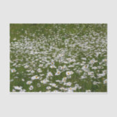 Veld Daisies Alaskan Wildflower Tissuepapier (Voorkant)