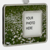 Veld Daisies Alaskan Wildflower Verzilverd Omlijst Ornament (Rechts)