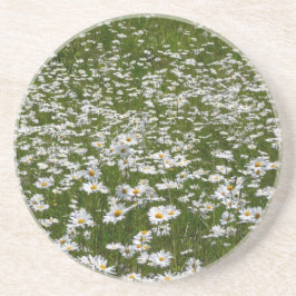 Veld Daisies Alaskan Wildflower Zandsteen Onderzetter