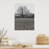 Veld en structuur poster (Keuken)