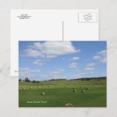 Veld in PEI-briefkaart Briefkaart (Voorkant / Achterkant)